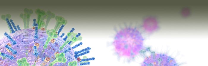 An amplicon-based nanopore sequencing workflow for rapid tracking of avian influenza outbreaks, France, 2020-2022