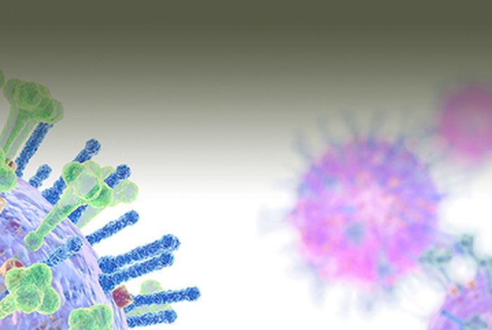 An amplicon-based nanopore sequencing workflow for rapid tracking of avian influenza outbreaks, France, 2020-2022