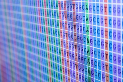 DNA sequence alignment