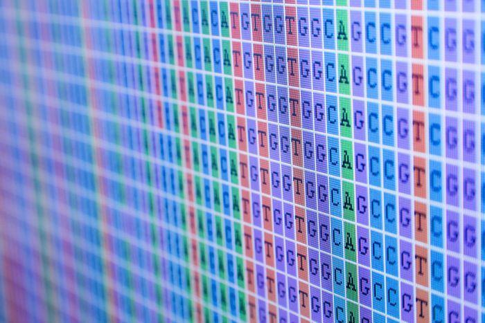 Wengan: Efficient and high quality hybrid *de novo* assembly of human genomes