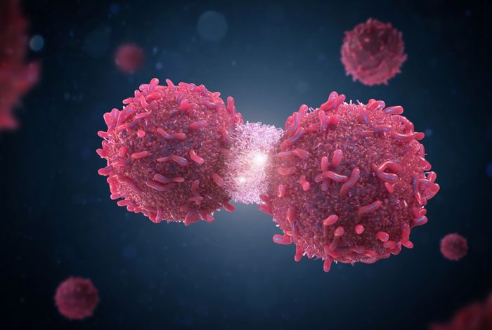 NCM 2023 Singapore: Investigating structural variations and complex cancer genomes using Oxford Nanopore sequencing