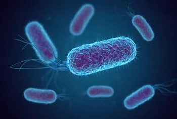 Harnessing non-standard nucleic acids for highly sensitive icosaplex (20-plex) detection of microbial threats