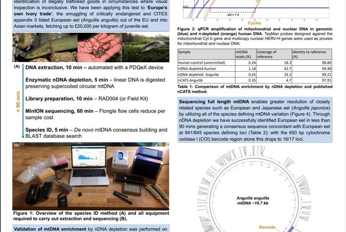 Rapid, Portable Species-Identification with full-length mtDNA Sequencing to Combat the Illegal Wildlife Trade