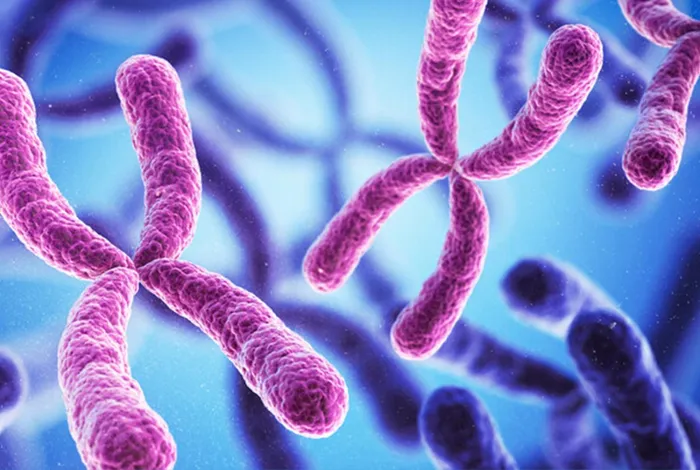 NCM 2022: Use of Pore-C to explore the 3D organization of animal symbiont chromosomes