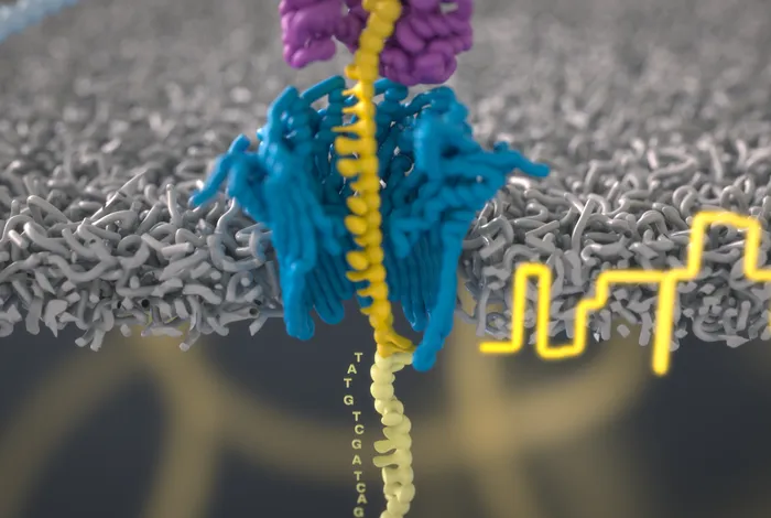 Adaptive sampling with Oxford Nanopore