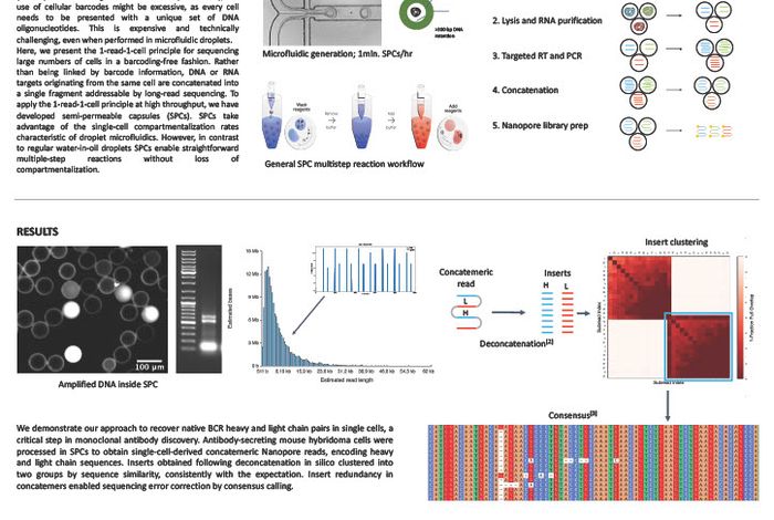 Barcoding-free, high-throughput single-cell sequencing enabled by the 1-read-1-cell paradigm