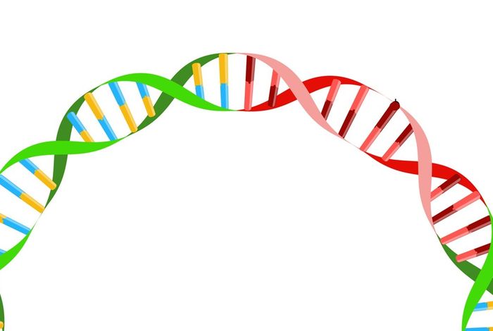 OnRamp – rapid multiplexed validation of plasmids using nanopore sequencing