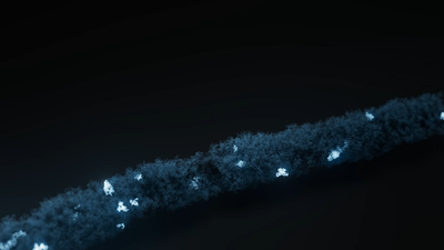 Nanopore-only microbial isolate sequencing solution (NO-MISS): a flexible and rapid approach for whole-genome sequencing of bacterial isolates