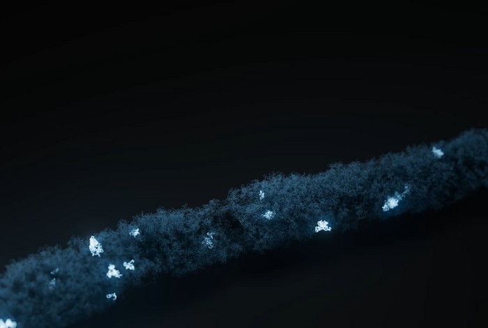 Nanopore sequencing of infectious fluid is a promising supplement for gold-standard culture in real-world clinical scenario