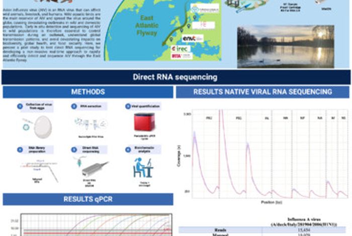 Towards non-invasive real-time monitoring of avian infuenza virus