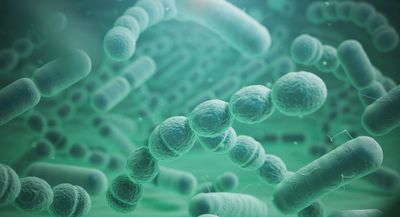Sensitivity and specificity of nanopore sequencing for detecting carbapenem and 3rd-generation cephalosporin-resistant *Enterobacteriaceae* in urine samples: real-time simulation with public antimicrobial resistance gene database