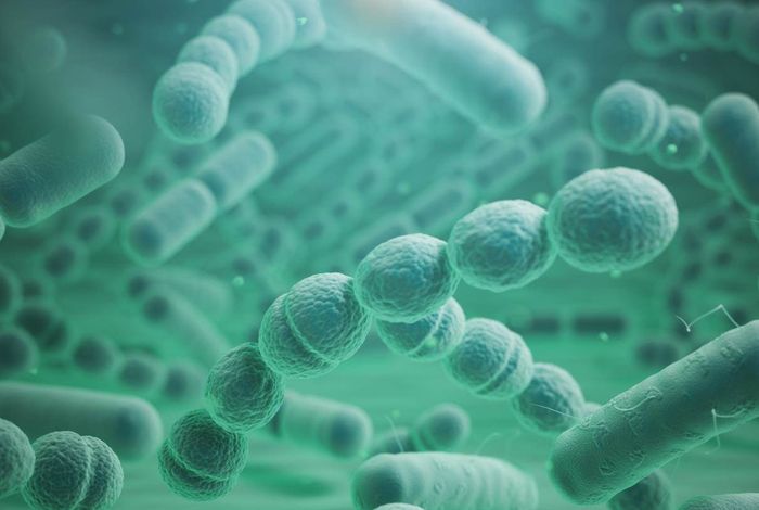 Resolving plasmid structures in Enterobacteriaceae using the MinION nanopore sequencer: assessment of MinION and MinION/Illumina hybrid data assembly approaches