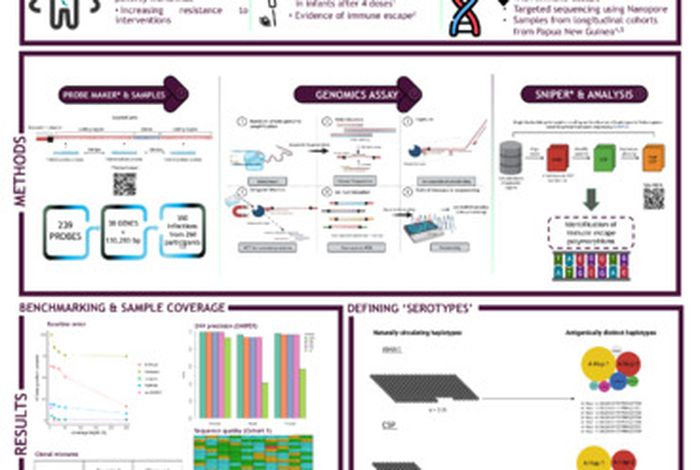 Targeted nanopore sequencing using hybridisation probes reveals immune escape polymorphisms in malaria vaccine candidates
