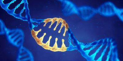 Structural variation