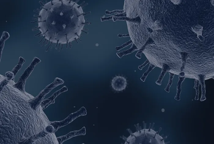 Transcriptome dataset of six human pathogen RNA viruses generated by nanopore sequencing