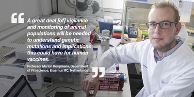 Evidence-based public health decision-making in the COVID-19 pandemic