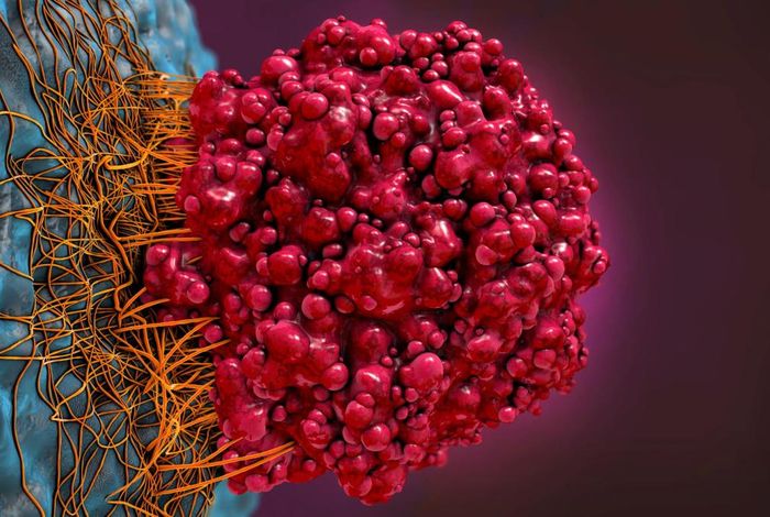 Rapid brain tumour classification from sparse epigenomic data