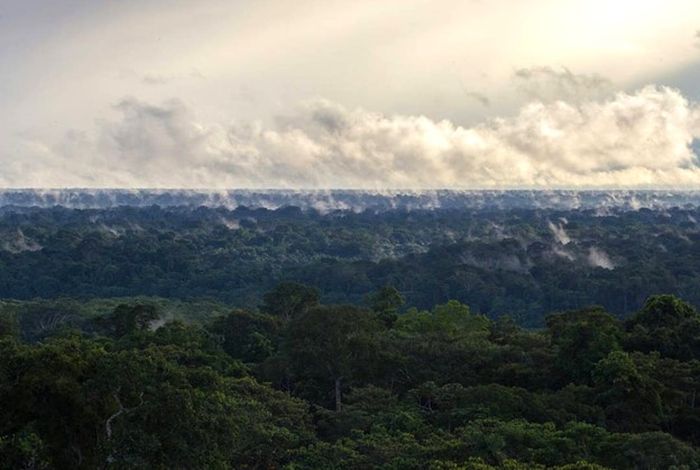 What if you could take your lab in a backpack to explore life on Earth?