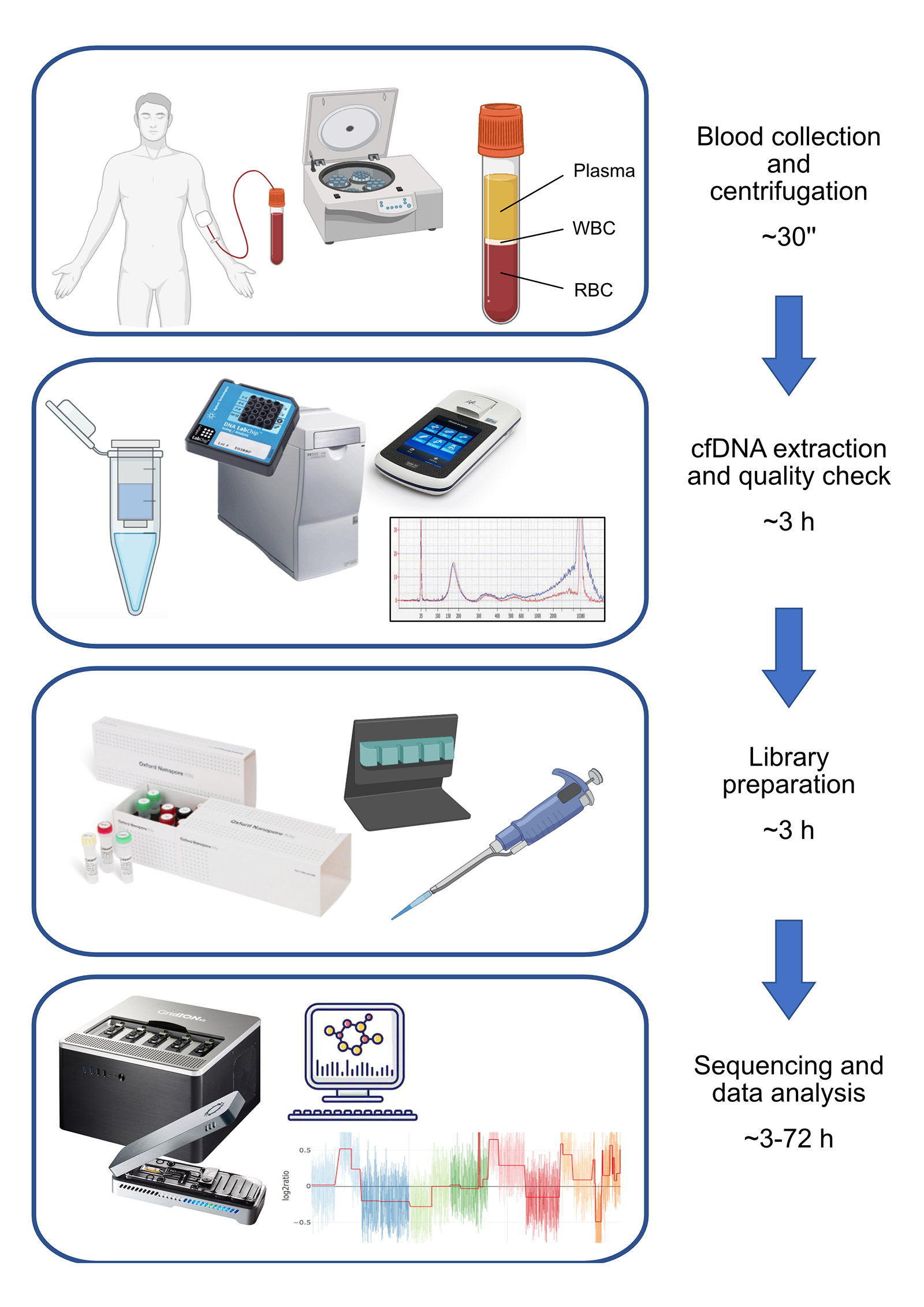 Workflow overview from blood collection to bioinformatic analysis