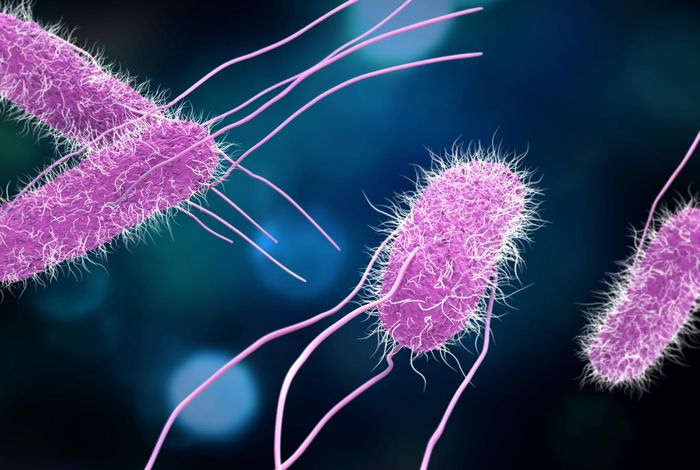 Subtyping evaluation of Salmonella enteritidis using single nucleotide polymorphism and core genome multilocus sequence typing with nanopore reads