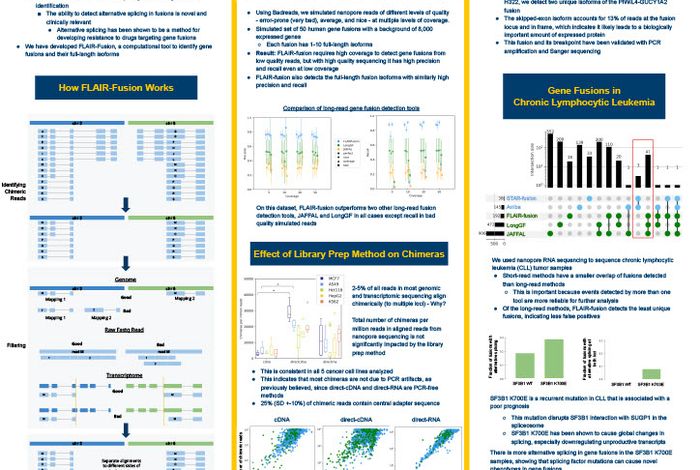 Detection of alternative isoforms of gene fusions using long-read Nanopore RNA-seq