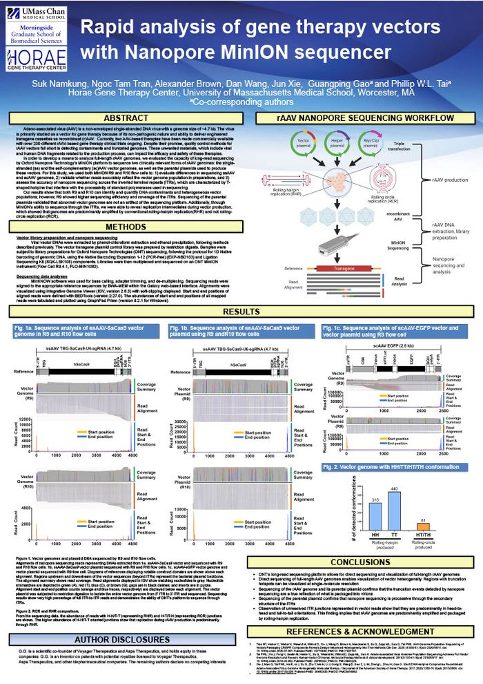 Rapid analysis of gene therapy vectors with the Oxford Nanopore MinION sequencer