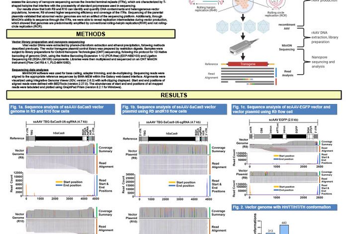Rapid analysis of gene therapy vectors with the Oxford Nanopore MinION sequencer