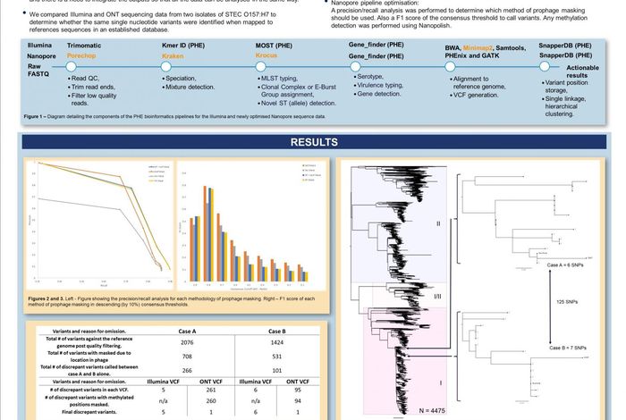 Comparison of single nucleotide variants identified by Illumina and Oxford Nanopore technologies in the context of a potential outbreak of Shiga Toxin producing Escherichia coli