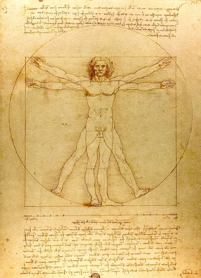 Leonardo da Vinci drawing