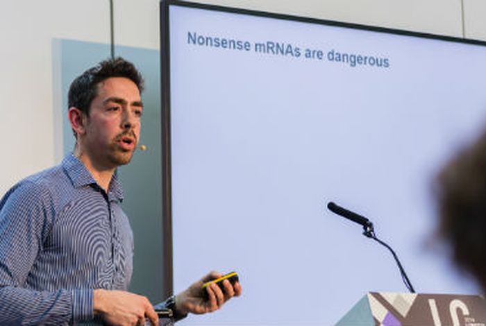 Splice isoform-specific analysis of endogenous NMD targets in human cells