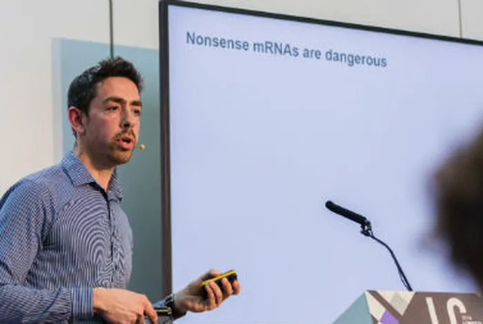 Splice isoform-specific analysis of endogenous NMD targets in human cells