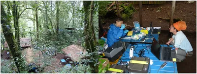 On site DNA barcoding by nanopore sequencing