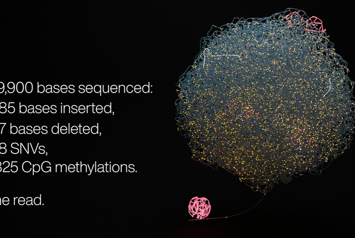 Structural variant analysis with Oxford Nanopore