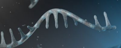 Transcriptional neighborhoods regulate transcript isoform lengths and expression levels