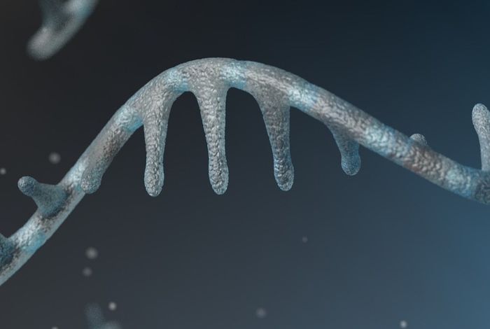 Transcriptional neighborhoods regulate transcript isoform lengths and expression levels