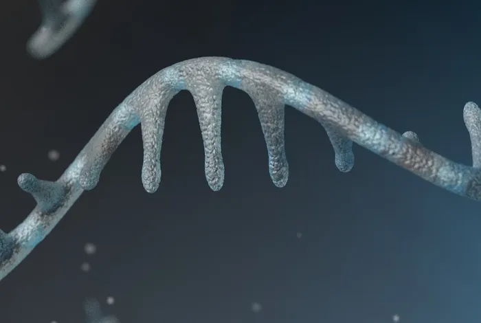 Transcriptional neighborhoods regulate transcript isoform lengths and expression levels