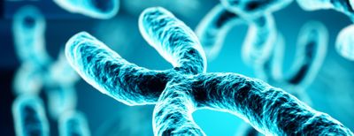 Asociacion Espanola De Genetica Humana (AEGH) 2026