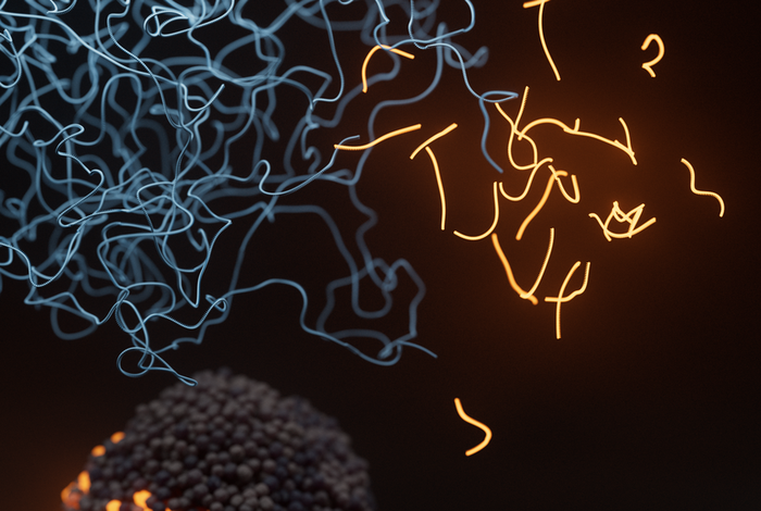 Core webinar: Comprehensive analysis of human variants and cancer genomes with multi-omic nanopore sequencing