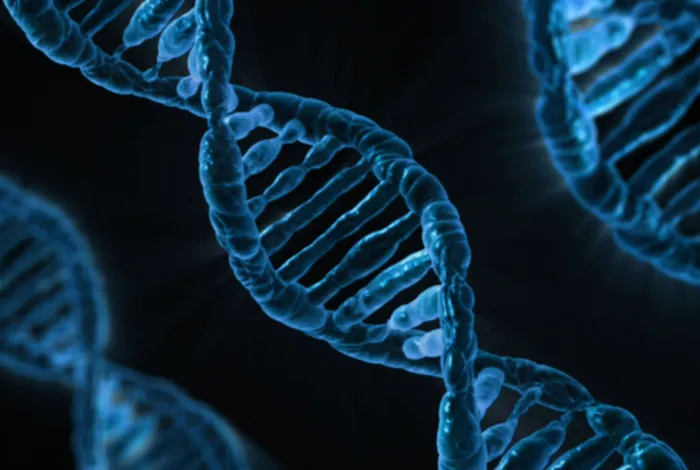 Highly multiplexed, fast and accurate nanopore sequencing for verification of synthetic DNA constructs and sequence libraries