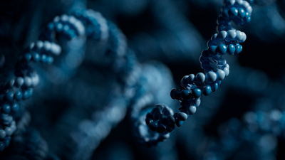 Visualisation of a DNA molecule