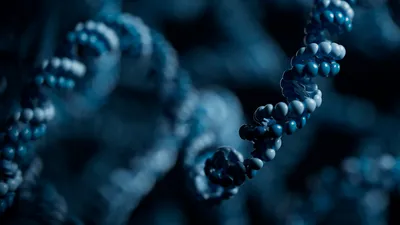 Visualisation of a DNA molecule