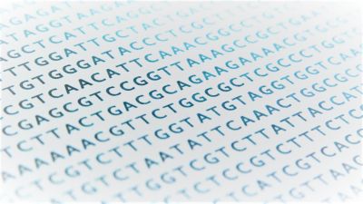 Nanopore sequencing as a novel method of characterising anorexia nervosa risk loci