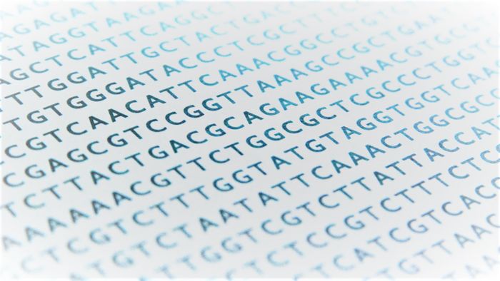 Nanopore sequencing as a novel method of characterising anorexia nervosa risk loci