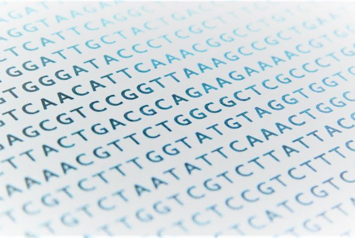 Nanopore sequencing as a novel method of characterising anorexia nervosa risk loci