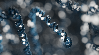 Dark grey DNA strand with bases highlighted in white