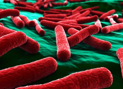 E. coli bacteria close up in red