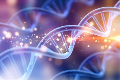 Diagnosis of Prader-Willi syndrome and Angelman syndrome by targeted nanopore long-read sequencing