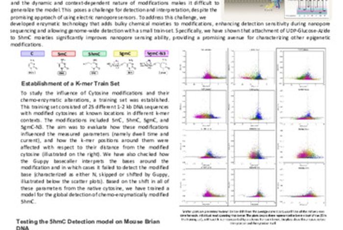 Exploring the potential of chemo-enzymatic technology for improved detection of epigenetic modifications with nanopore sequencing