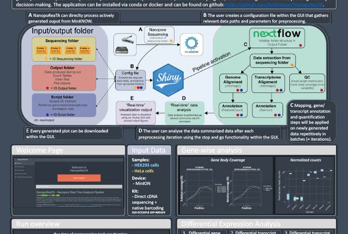 NanopoReaTA: a user-friendly tool for nanopore-seq real-time transcriptional analysis