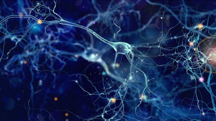 Integrative analysis of long isoform sequencing and functional data identifies distinct cortical layer neuronal subtypes derived from human iPSCs